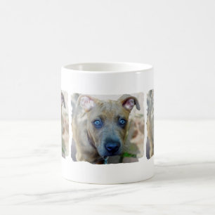 Taza De Café Perrito Brindle del pitbull de Shirley Taylor