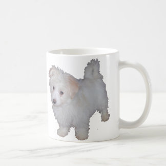 Taza De Café Perrito de Havanese
