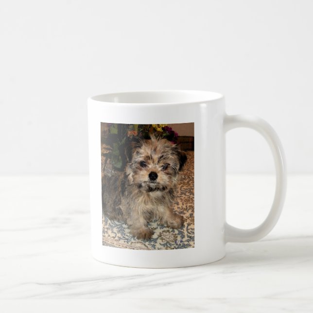 Taza De Café Perrito de Shorkie (Derecha)