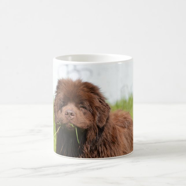 Taza De Café Perrito de Terranova (Centro)