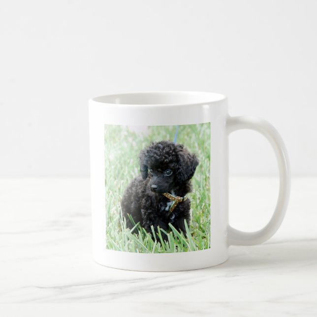 Taza De Café Perrito del caniche de juguete (Derecha)