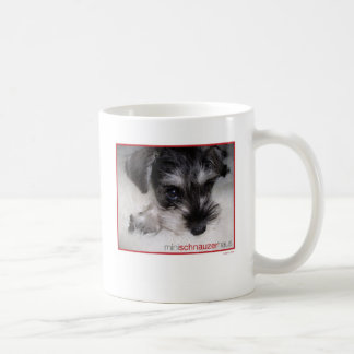 Taza De Café Perrito del Schnauzer miniatura