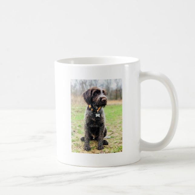Taza De Café Perrito el señalar Griffon Wirehaired (Derecha)
