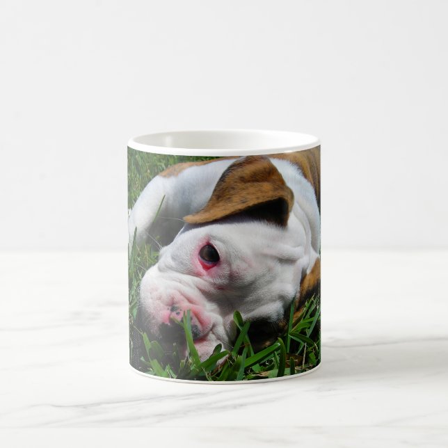 Taza De Café Perrito inglés del bulldog de Olde (Centro)