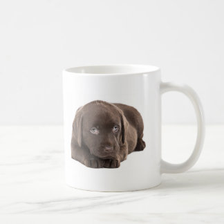 Taza De Café Perrito lindo de Labrador del chocolate