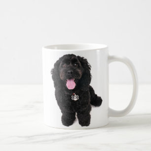 Taza De Café Perrito negro que mira para arriba