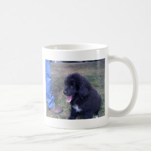 Taza De Café Perrito precioso de Newfie (raza del perro de