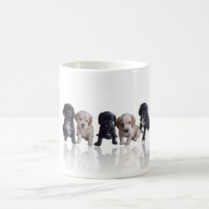 Taza De Café Perritos de cocker spaniel