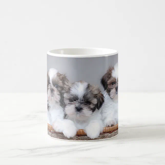 cuanto cuesta una taza de te shih tzu