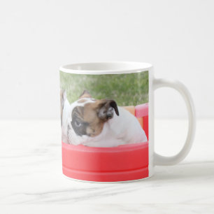 Taza De Café Perritos ingleses del bulldog en un carro