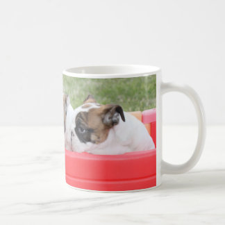 Taza De Café Perritos ingleses del bulldog en un carro