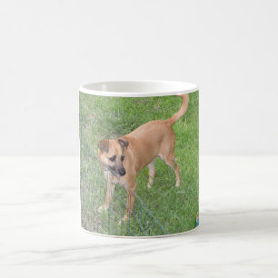Taza De Café perro 2.png lleno de Carolina