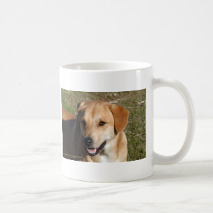Taza De Café Perro amarillo del laboratorio