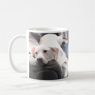 Taza De Café Perro blanco y pacífico