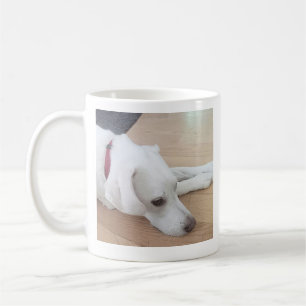 Taza De Café Perro bueno lindo con collar rojo
