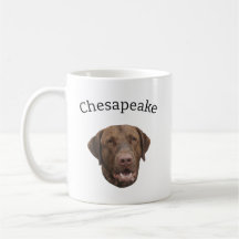 Perro de Chesapeake Bay Retriever