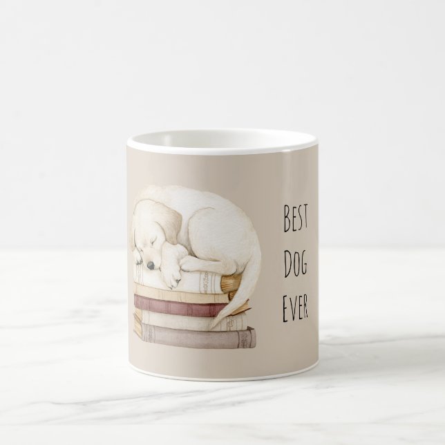 Taza De Café Perro de Crema Durmiendo sobre Libros (Centro)