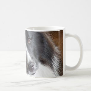 Taza De Café perro de oveja de shetland negro y blanco