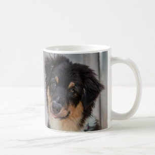 Taza De Café Perro de pastor australiano