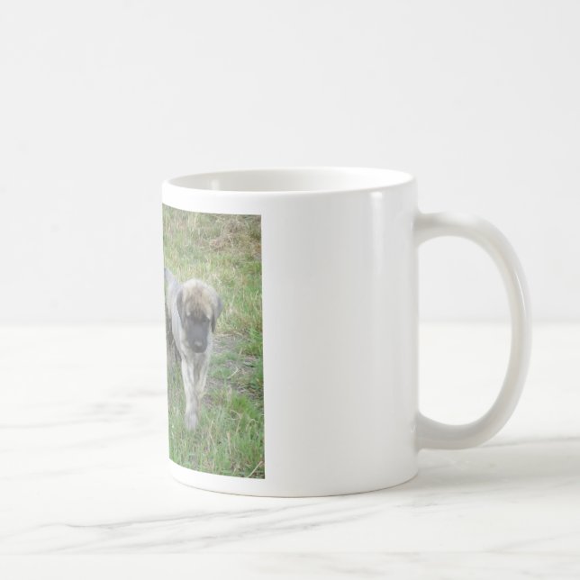 Taza De Café Perro de perritos de Anatolia del pastor (Derecha)