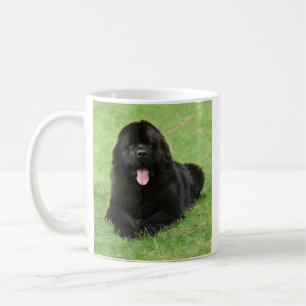 Taza De Café Perro de Terranova