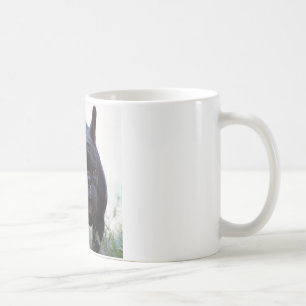Taza De Café Perro del bulldog francés