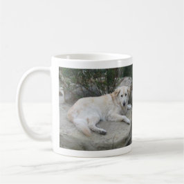 Taza De Café Perro descansando sobre una roca
