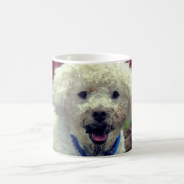 Taza De Café Perro gracioso frente a Poodle Personalizado (Centro)
