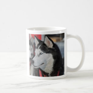 Taza De Café Perro Husky antes de una carrera, Canadá