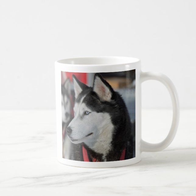 Taza De Café Perro Husky antes de una carrera, Canadá (Derecha)