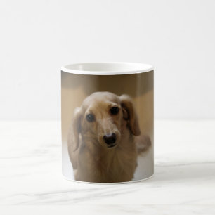 Taza De Café Perro lindo