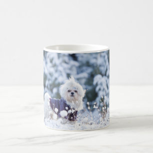 Taza De Café Perro maltés lindo