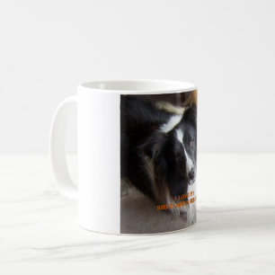 Taza De Café perro pastelero de shetland amor negro y blanco co