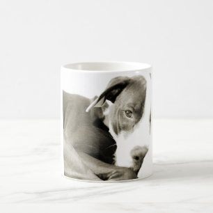 Taza De Café perro pit bull adorable dormilón y perezoso