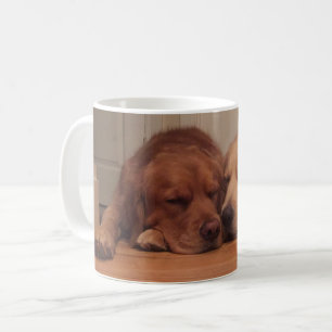 Taza De Café Perros el dormir