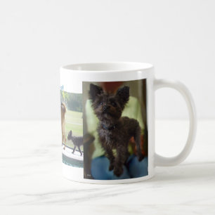 Taza De Café Perros Regla Mug