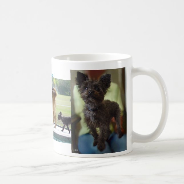 Taza De Café Perros Regla Mug (Derecha)