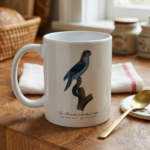 Taza De Café Perruche a bandeau rouge / Musk Lorikeet
