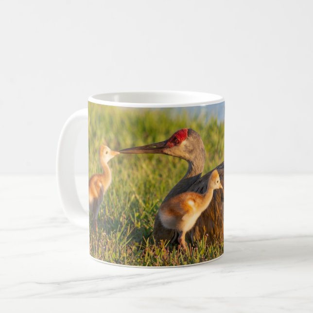 Taza De Café Personalice las grullas de Sandhill que les encant (Anverso izquierdo)