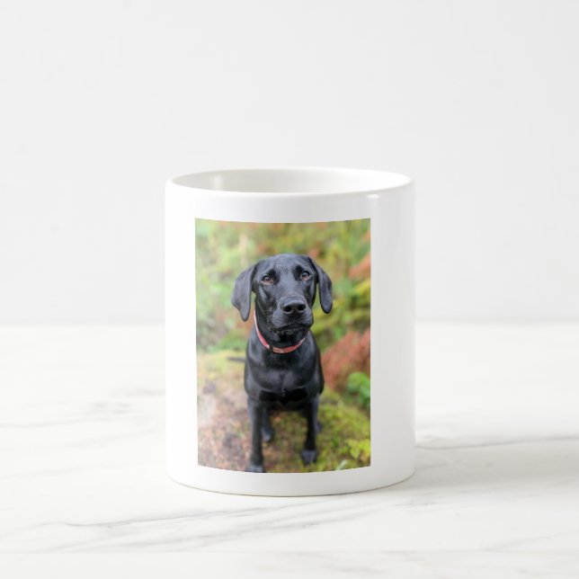 Taza De Café Personalizado Perro Mug - ¡El regalo perfecto de ú (Centro)