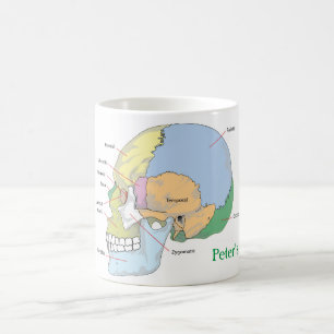 Taza De Café Personalizar la anatomía de cráneo