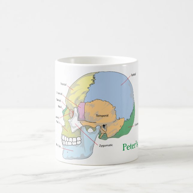 Taza De Café Personalizar la anatomía de cráneo (Centro)