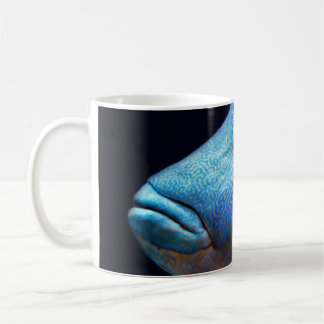 Taza De Café Pescado azul