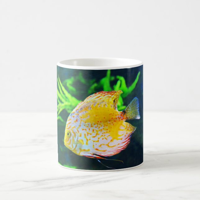 Taza De Café Pescado discus (Centro)