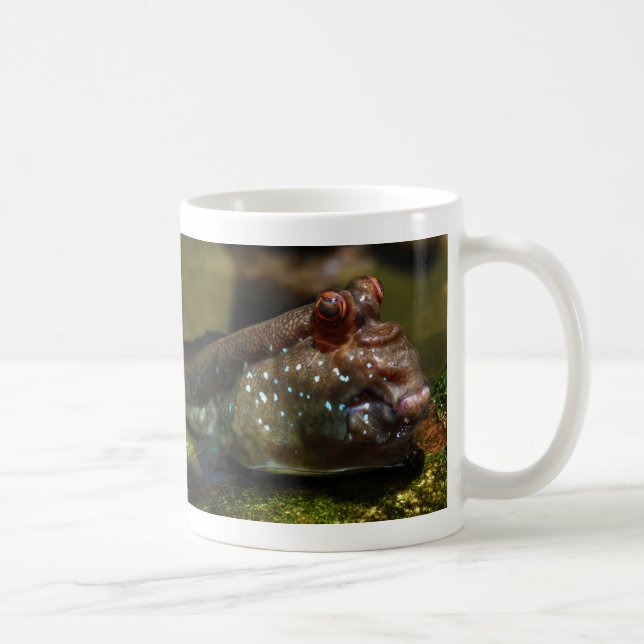 Taza De Café Pescados anfibios Oxudercinae de Mudskipper (Derecha)