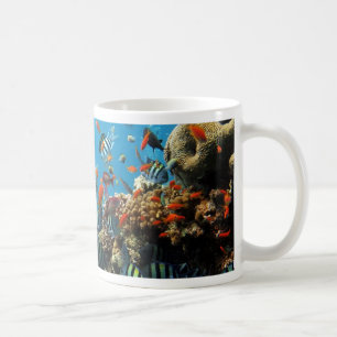 Taza De Café Pescados Naturescape del arrecife de coral