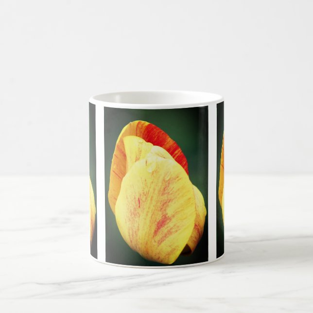 Taza De Café Pétalos de flor de tulipán (Centro)