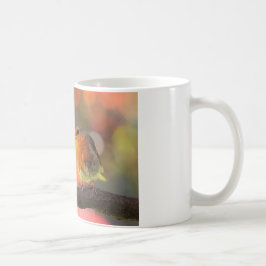 Taza De Café Petirrojo en una rama