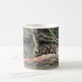 Taza De Café Petits canards