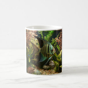 Taza De Café Pez ángel altum rayado